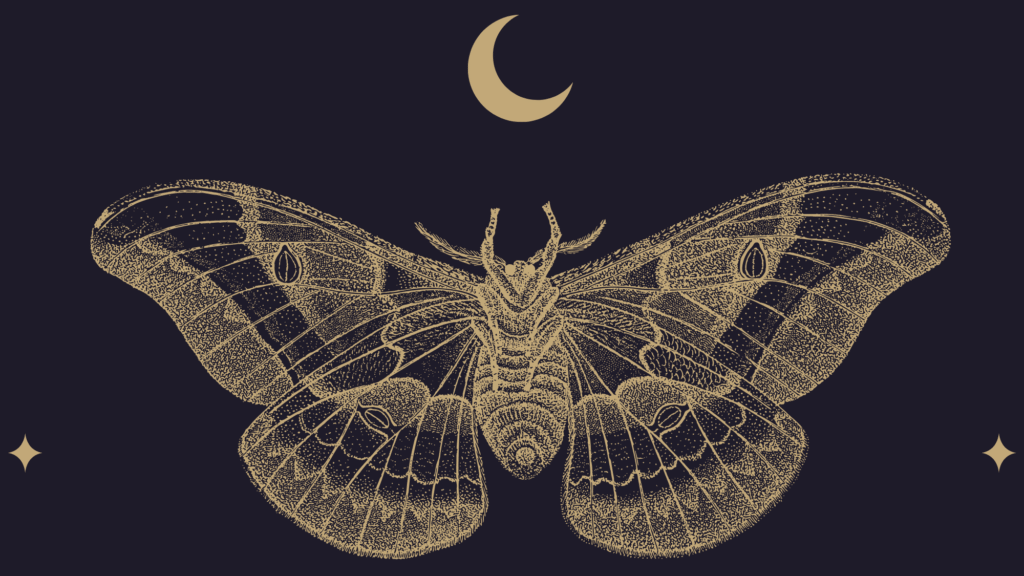 Auriel Lune gold moth logo variation